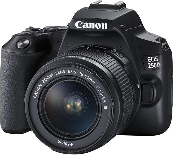 Canon EOS 250D im Test – Foto ProduktBewertet