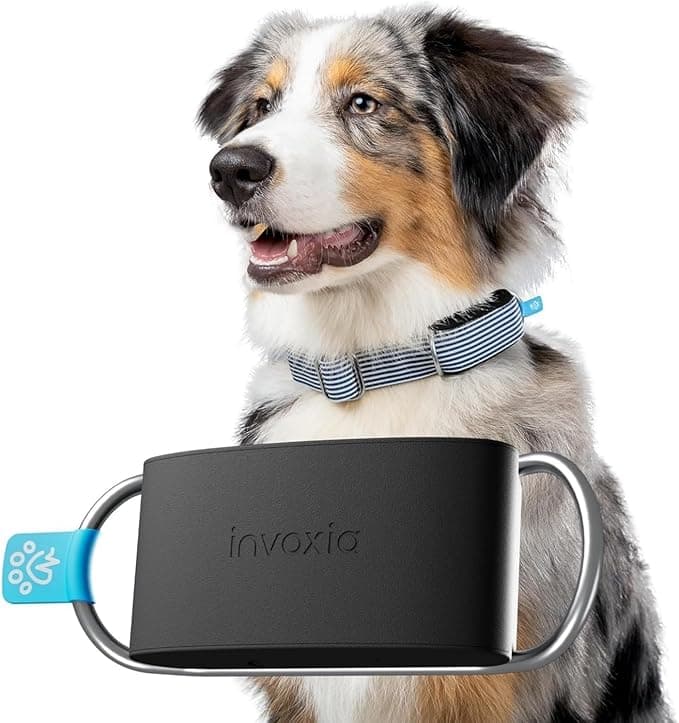 Invoxia Minitailz – Kaufen